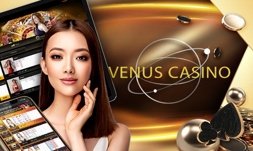 9988bet 77bet cassino Terminal móvel